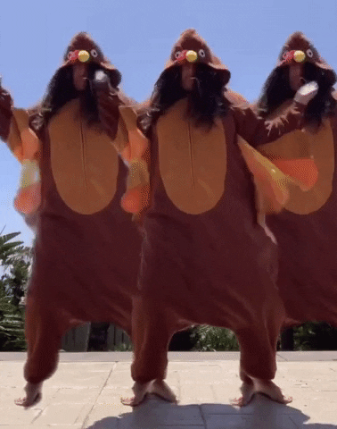 Thanksgiving Turkeytime GIF by The Great American Turkey Co.