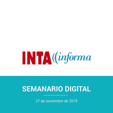 intainforma giphygifmaker GIF