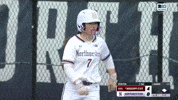 Softball Wildcats GIF by Northwestern Athletics