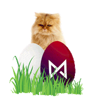 mmb monetakocour Sticker by MonetaMoneyBank