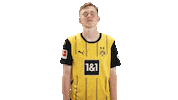 Borussia Dortmund Yes Sticker by Bundesliga