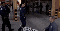 Chicago Fire Dog GIF by Wolf Entertainment