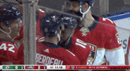 Ice Hockey Sport GIF by NHL