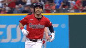 Sport Celebrate GIF by MLB