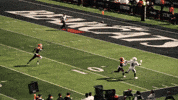 Cincinnati Football GIF by Cincinnati Bearcats