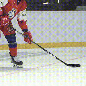 SKODACZ giphyupload fun car hockey GIF