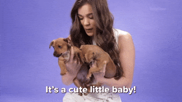 Cute Little Baby