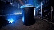 North Carolina Baseball GIF by UNC Tar Heels