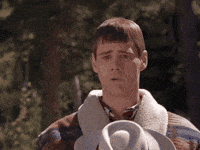 GIF by Giffffr