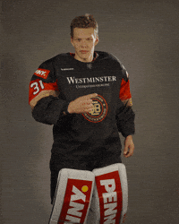 Hockey No GIF by deb_teams