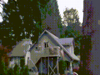 twitter days GIF