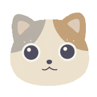 Cat Sticker