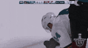 ice hockey sport GIF by NHL