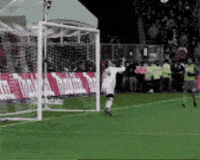 Save What A GIF