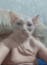 Cat Victor GIF