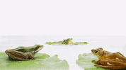 Water Chilling GIF by TELUS