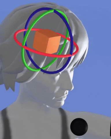 Fashion Augment GIF by Aleksey Efremov