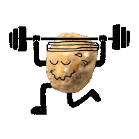 Happy Mexico Sticker by Berry Nuts