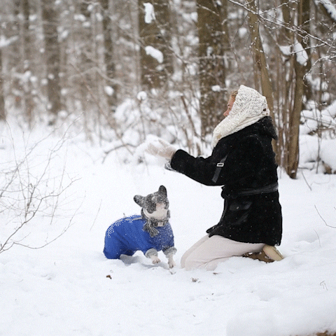 Happy Dog GIF