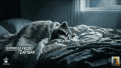 Bed Sleeping GIF