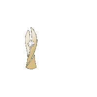 Finale Trophy Sticker by German Volleyball Federation