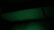 slingshot dakota paycheck GIF by Topshelf Records