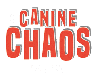 card game dog Sticker by Ginger Fox