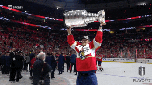 Stanley Cup Playoffs Win GIF by NHL