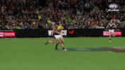 Afl Memories GIF by Adelaide Crows