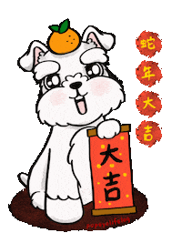 Schnauzer Sticker