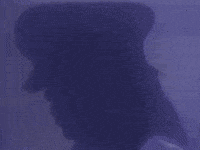 prince GIF