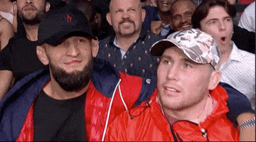 Mixed Martial Arts Sport GIF by UFC