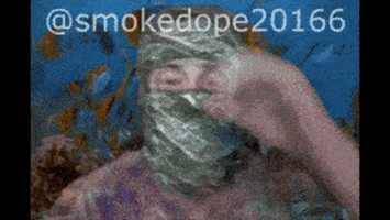 SmokeDopeFan giphyupload smokedope2016 sd2016 sd2k16 GIF
