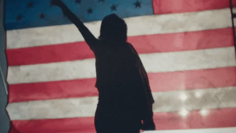 American Flag Usa GIF by Rihanna