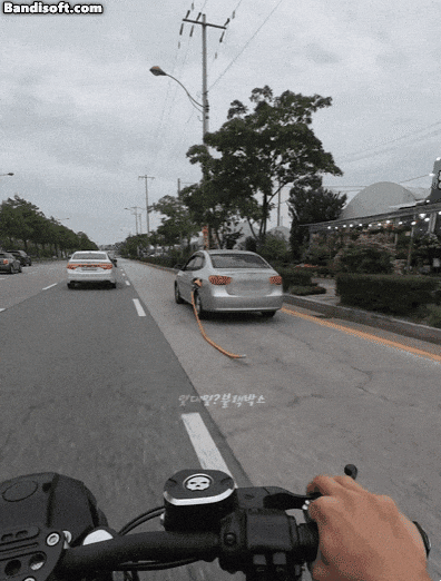 bca0d780d8d84485a36f002148d71e0b giphyupload GIF