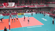 Celebration GIF by Volleyball World