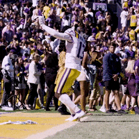 Death Valley Dancing GIF by LSU Tigers