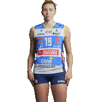 Boom Volleyball Sticker by ImocoVolley