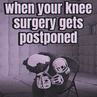 Panda Waiting GIF by Endangered Labs