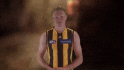 Afl Hawks GIF by Hawthorn Football Club