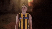 Afl Hawks GIF by Hawthorn Football Club