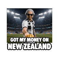 New Zealand Nz Football Sticker