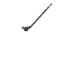 college hockey Sticker by Northeastern University