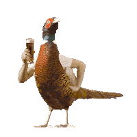 Fun Beer Sticker by Zlatý Bažant