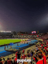 Morocco Wydad GIF