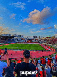 Morocco Wydad GIF