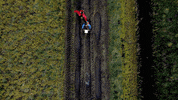 Sport Running GIF by Moments of Colour