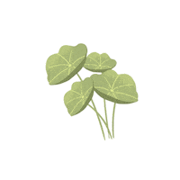Skincare Leaf Sticker by True To Skin