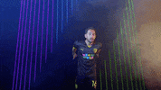 Meow Wolf Home Kit GIF by New Mexico United