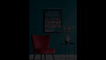 Florida Real Estate GIF by Echo Fine Properties
